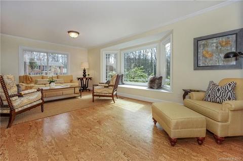 243 Ney Cir, Davidson, NC 28036 photo 6