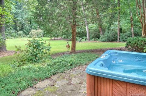 243 Ney Cir, Davidson, NC 28036 photo 33