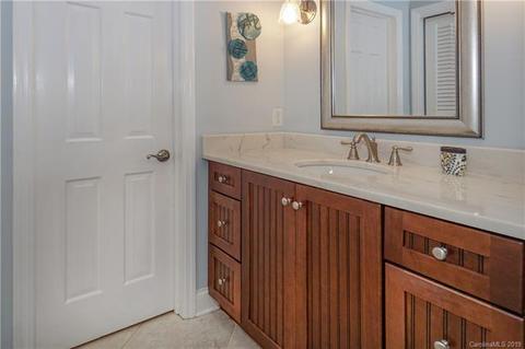 243 Ney Cir, Davidson, NC 28036 photo 25