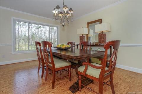 243 Ney Cir, Davidson, NC 28036 photo 10