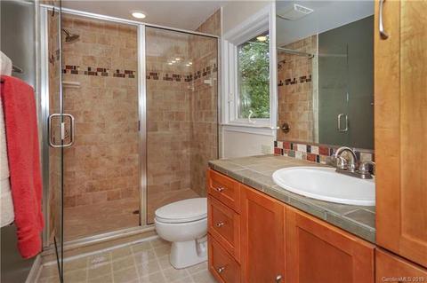 243 Ney Cir, Davidson, NC 28036 photo 29