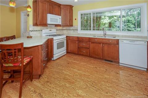 243 Ney Cir, Davidson, NC 28036 photo 14