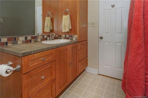 243 Ney Cir, Davidson, NC 28036 photo 30