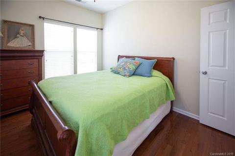 395 Armour St, Davidson, NC 28036 photo 28