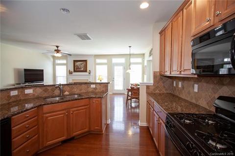 395 Armour St, Davidson, NC 28036 photo 14