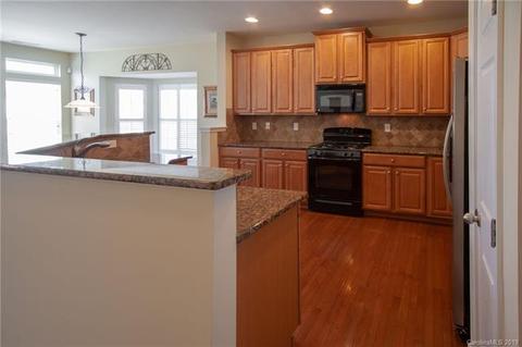 395 Armour St, Davidson, NC 28036 photo 13