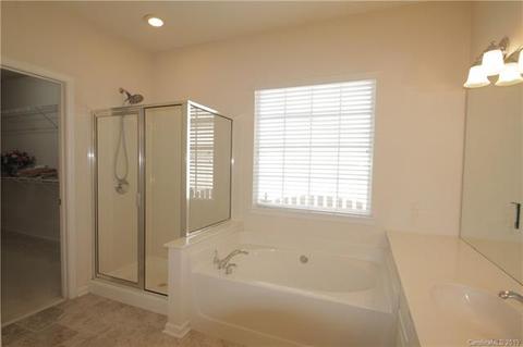 20908 Brinkley St, Cornelius, NC 28031 photo 13