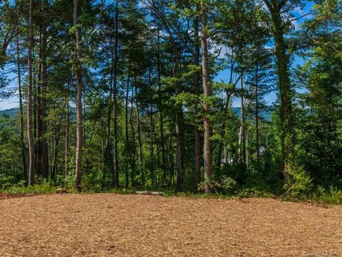 24 Reta Rd, Fairview, NC 28730 photo 37