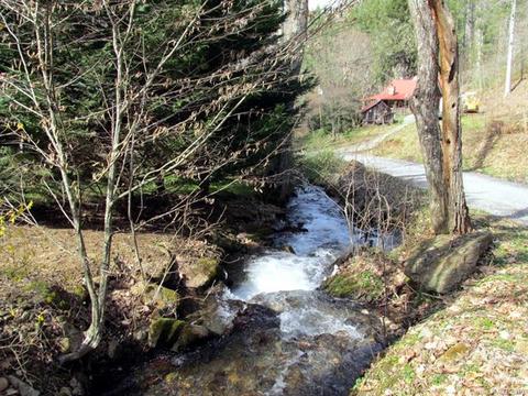 8 Quiet Forest Ln, Sylva, NC 28779 photo 7