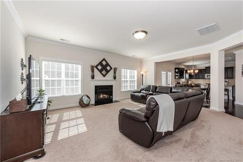 3216 Basalt Pl, Davidson, NC 28036 photo 18