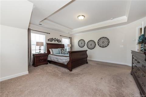 3216 Basalt Pl, Davidson, NC 28036 photo 29