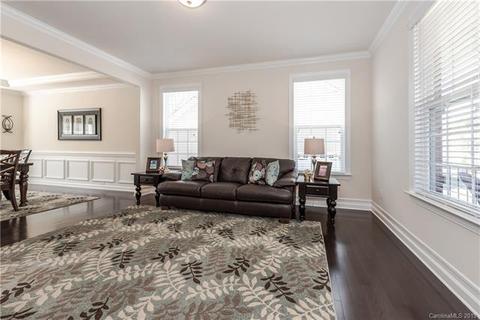 3216 Basalt Pl, Davidson, NC 28036 photo 6