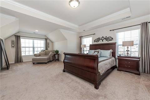 3216 Basalt Pl, Davidson, NC 28036 photo 28