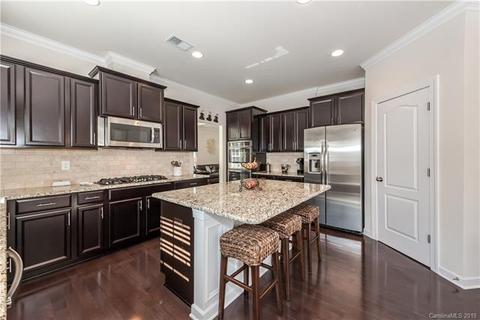 3216 Basalt Pl, Davidson, NC 28036 photo 12