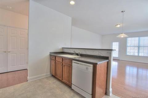 1023 Platinum Dr, Fort Mill, SC 29708 photo 7