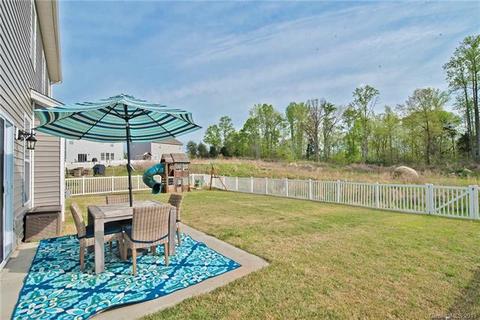 11073 Hat Creek Ln, Davidson, NC 28036 photo 35