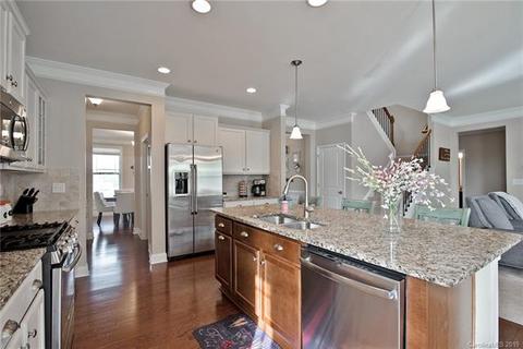 11073 Hat Creek Ln, Davidson, NC 28036 photo 14