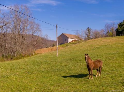 895 Murray Rd, Canton, NC 28716 photo 26