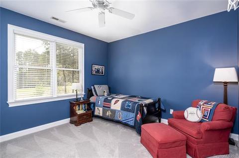 19814 River Falls Dr, Davidson, NC 28036 photo 21