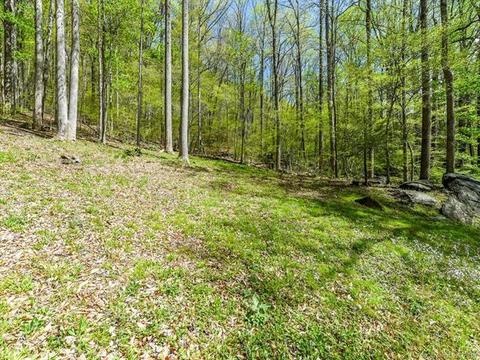 3170 N Us Hwy 176 Hwy, Tryon, NC 28782 photo 32