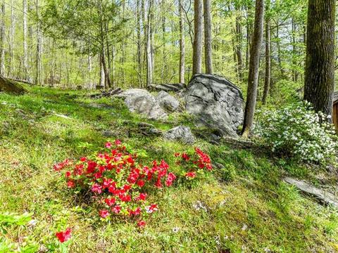 3170 N Us Hwy 176 Hwy, Tryon, NC 28782 photo 13