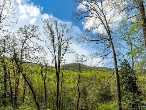 3170 N Us Hwy 176 Hwy, Tryon, NC 28782 photo 7