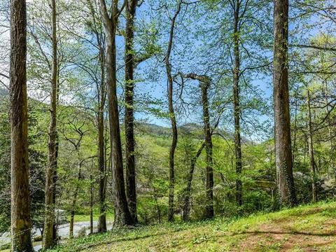 3170 N Us Hwy 176 Hwy, Tryon, NC 28782 photo 33