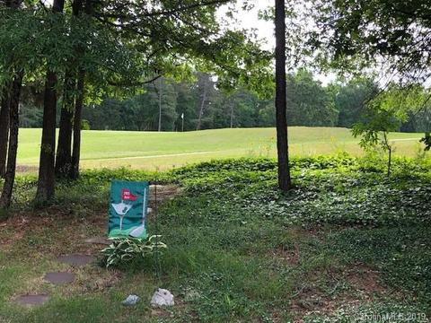 18604 Reflection Rock Ct, Davidson, NC 28036 photo 21