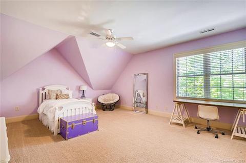428 Langston Place Dr, Fort Mill, SC 29708 photo 20