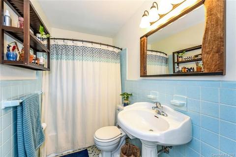360 Allison Rd, Brevard, NC 28712 photo 29