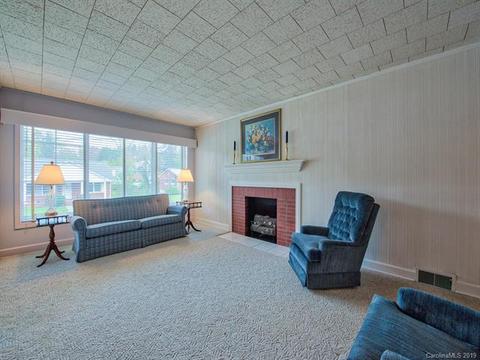 12 Johnson Dr, Canton, NC 28716 photo 7