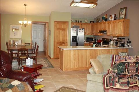 60 Loose Wire Way, Sylva, NC 28779 photo 10