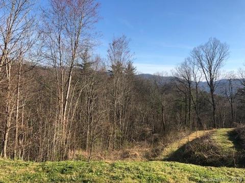 700 Sapling Mountain Rd, Marshall, NC 28753 photo 10