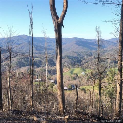 700 Sapling Mountain Rd, Marshall, NC 28753 photo 21