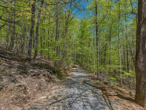 1251 Jude Gap Rd, Mill Spring, NC 28756 photo 32