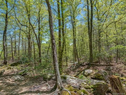 1251 Jude Gap Rd, Mill Spring, NC 28756 photo 30