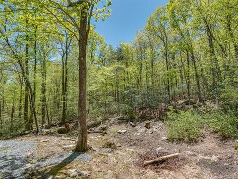 1251 Jude Gap Rd, Mill Spring, NC 28756 photo 28
