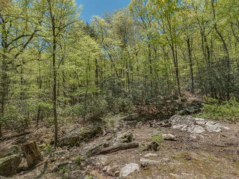 1251 Jude Gap Rd, Mill Spring, NC 28756 photo 29