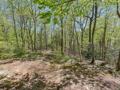 1251 Jude Gap Rd, Mill Spring, NC 28756 photo 22