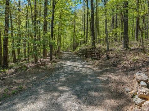 1251 Jude Gap Rd, Mill Spring, NC 28756 photo 35