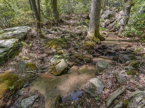 1251 Jude Gap Rd, Mill Spring, NC 28756 photo 24
