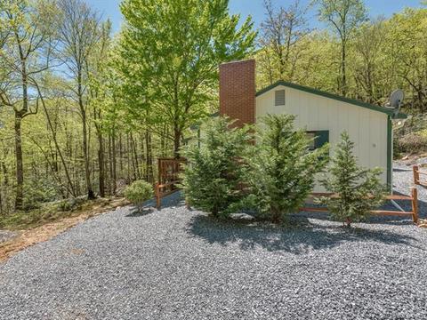 1251 Jude Gap Rd, Mill Spring, NC 28756 photo 3