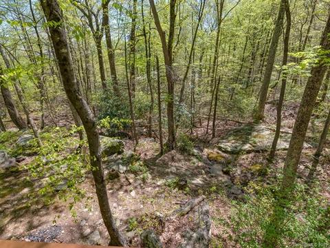 1251 Jude Gap Rd, Mill Spring, NC 28756 photo 21