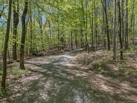 1251 Jude Gap Rd, Mill Spring, NC 28756 photo 33
