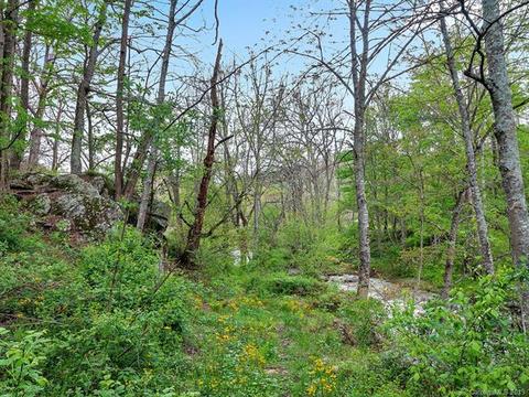 309 Halfmoon Way, Clyde, NC 28721 photo 34