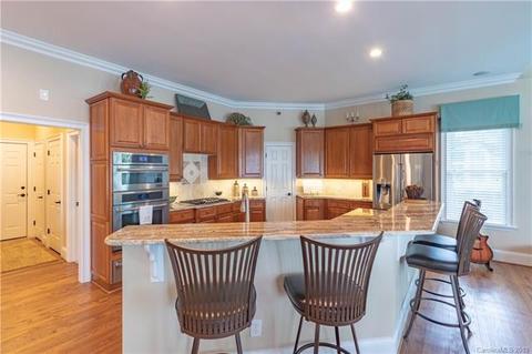 16227 Sasanoa Dr, Cornelius, NC 28031 photo 14