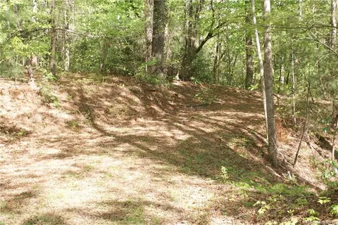 175 Aabye Ln, Saluda, NC 28773 photo 5