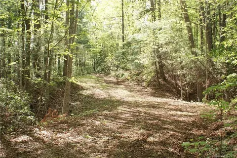 175 Aabye Ln, Saluda, NC 28773 photo 3