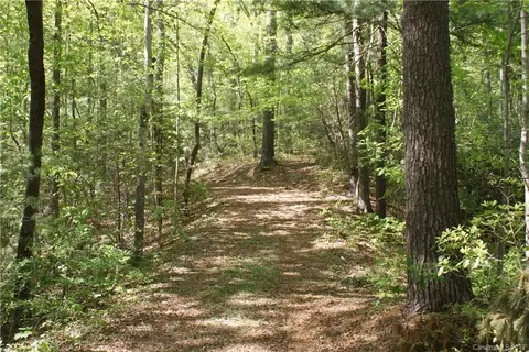 175 Aabye Ln, Saluda, NC 28773 photo 2