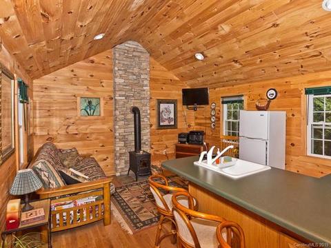10669 Rush Fork Rd, Clyde, NC 28721 photo 33